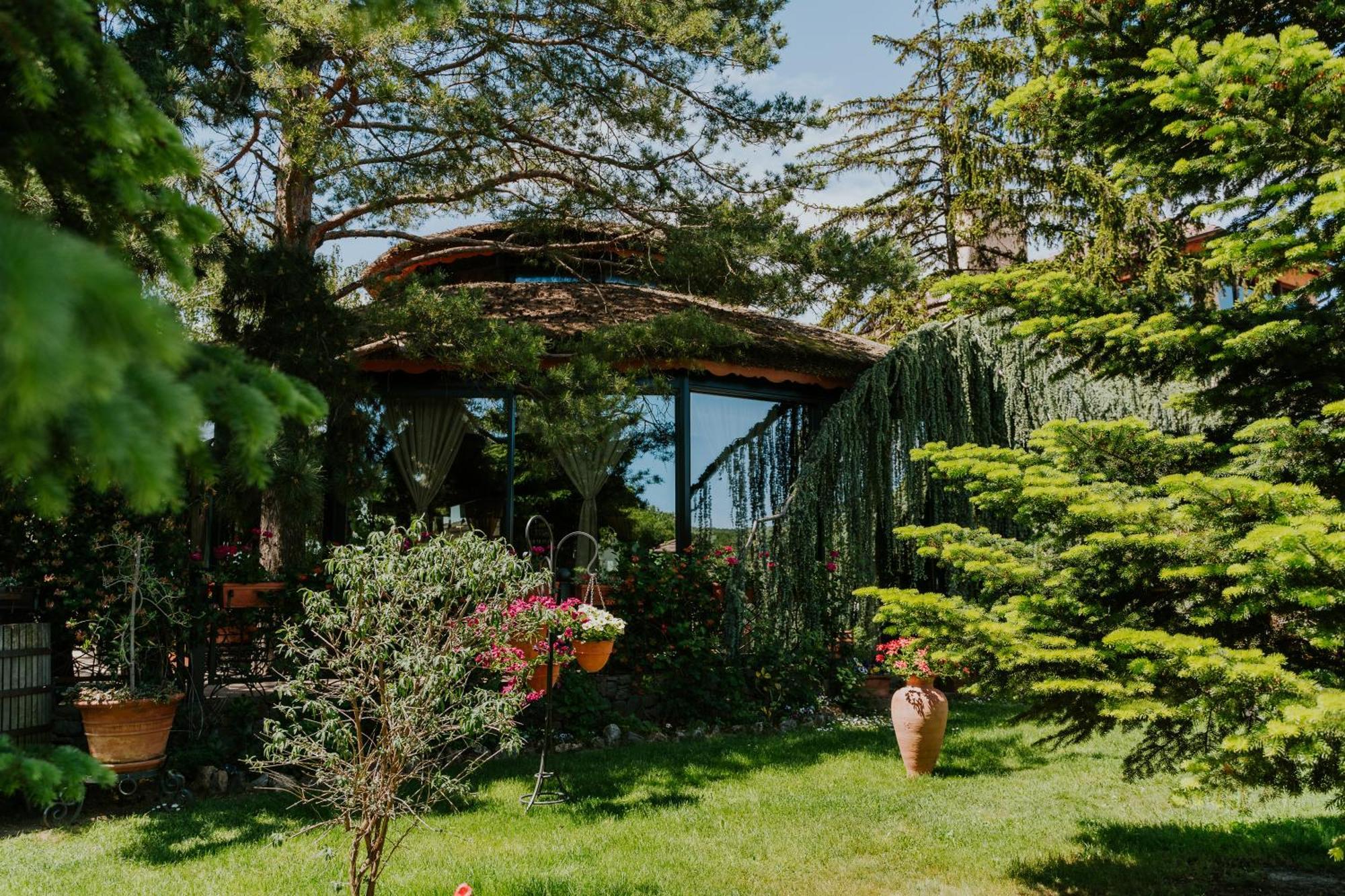Vinska Kuca Kovacevic Bed & Breakfast *